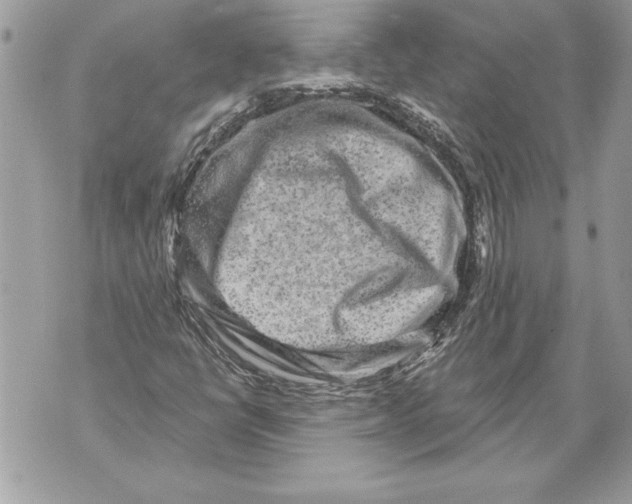 X0000071851398200607290121