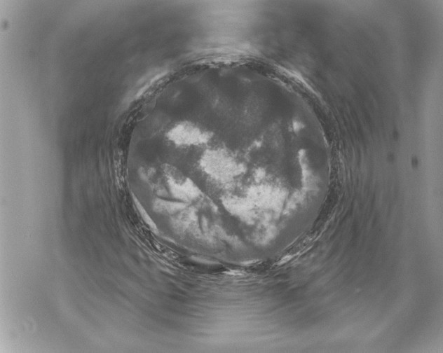 X0000071851399200607290121