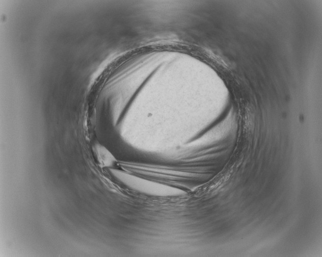 X0000071851400200607290121