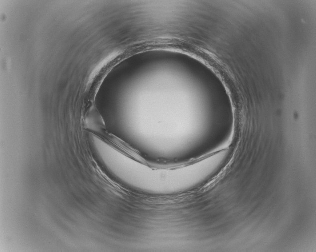 X0000071851402200607290121