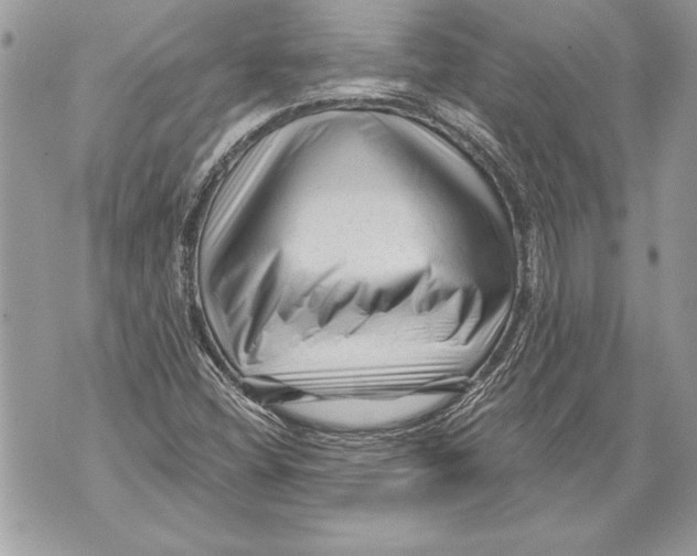 X0000071851404200607290121