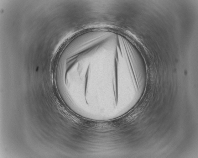 X0000071851408200607290121