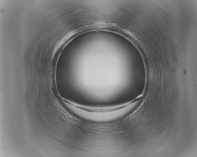 X0000071851410200607290121