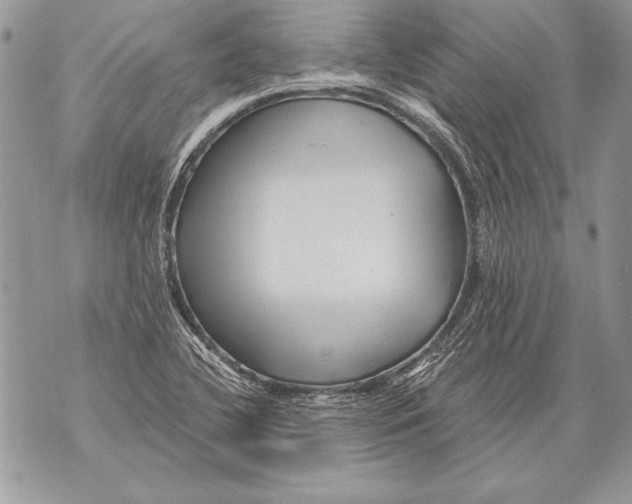 X0000071851412200607290121