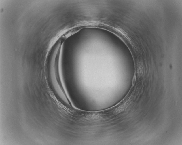 X0000071851414200607290121