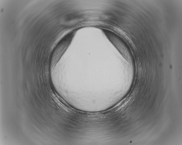 X0000071851417200607290121