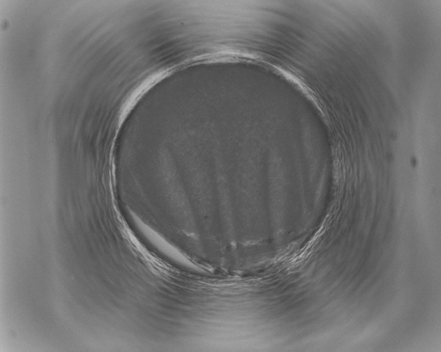 X0000071851418200607290121