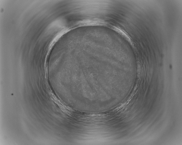 X0000071851419200607290121