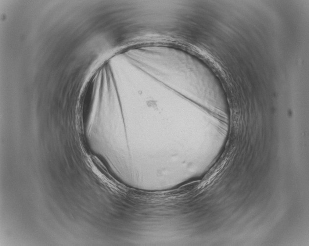 X0000071851421200607290121