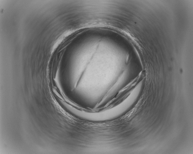 X0000071851422200607290121