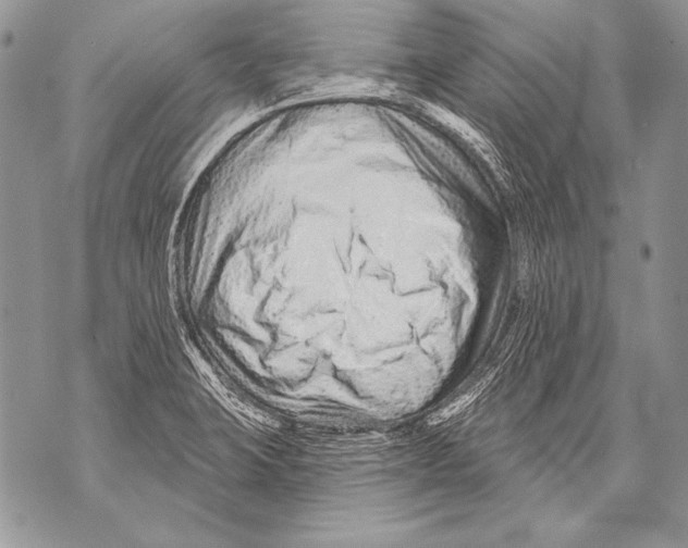 X0000071851423200607290121