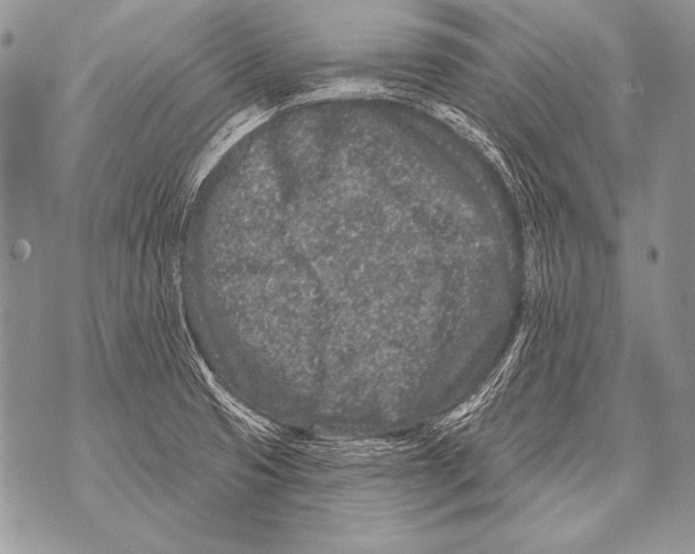 X0000071851425200607290121