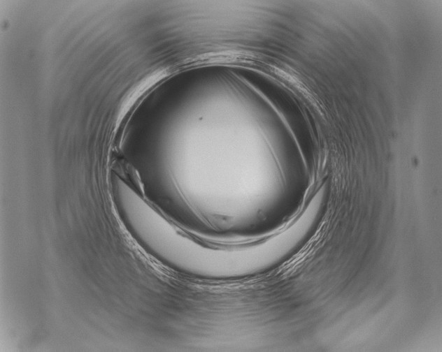 X0000071851426200607290121