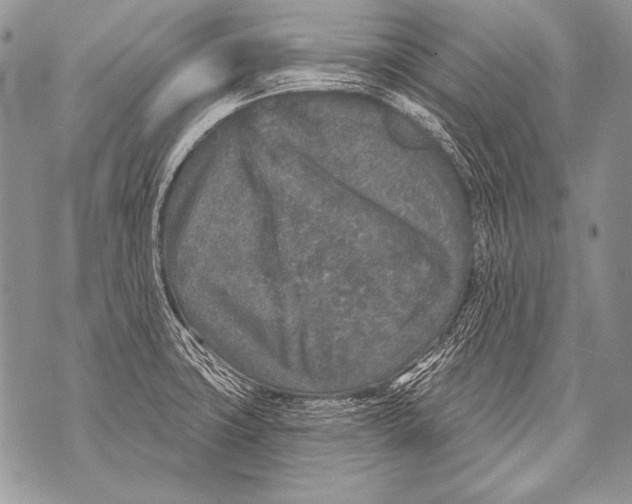 X0000071851427200607290121