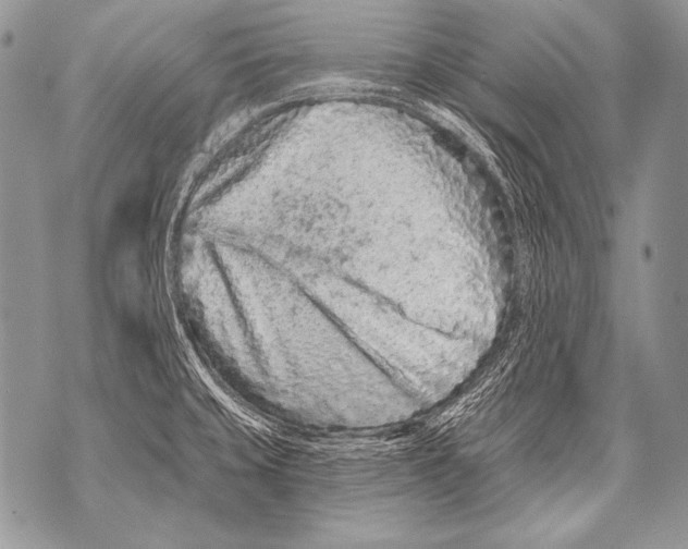 X0000071851429200607290121