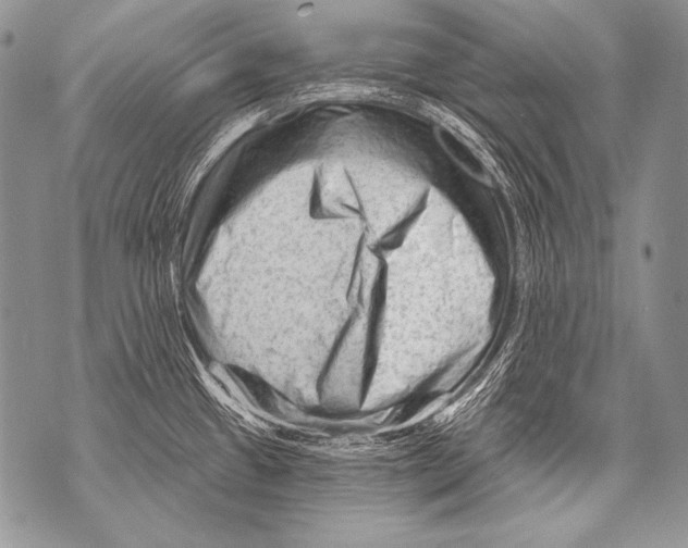 X0000071851433200607290121