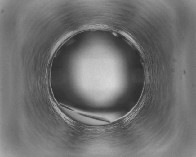 X0000071851438200607290121