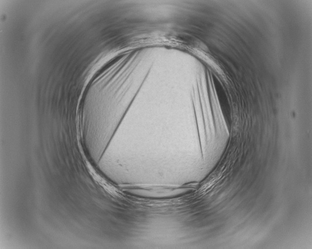 X0000071851439200607290121