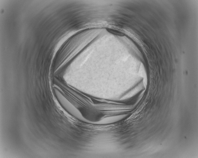 X0000071851440200607290121