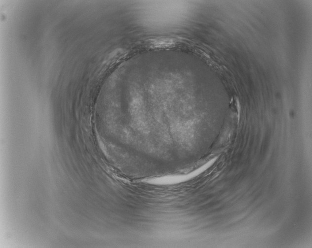 X0000071851441200607290121