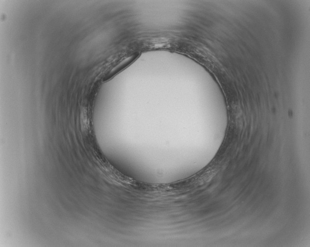 X0000071851442200607290121