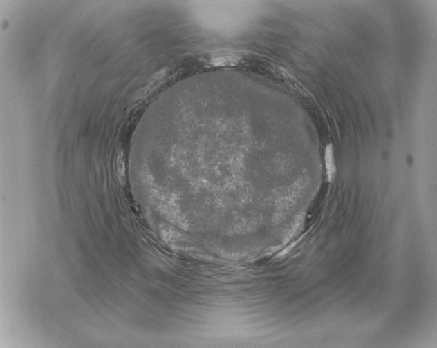 X0000071851443200607290121