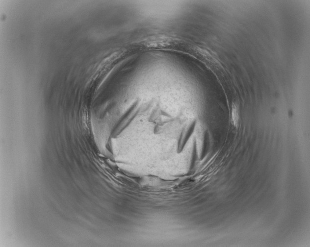 X0000071851444200607290121