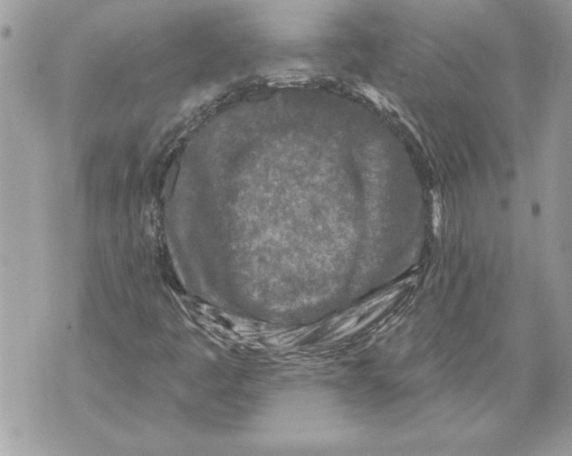 X0000071851445200607290121