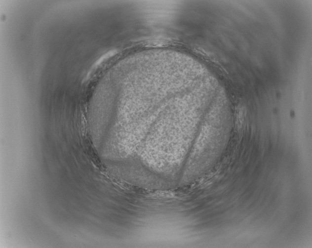 X0000071851446200607290121