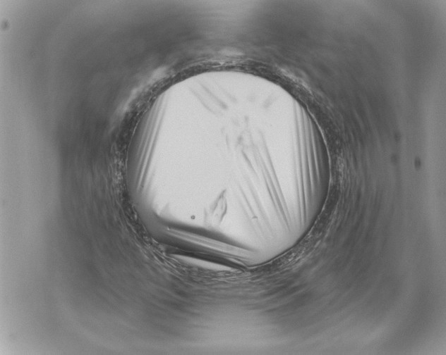 X0000071851447200607290121