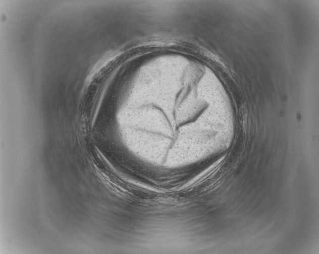 X0000071851448200607290120