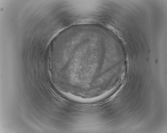 X0000071851449200607290120