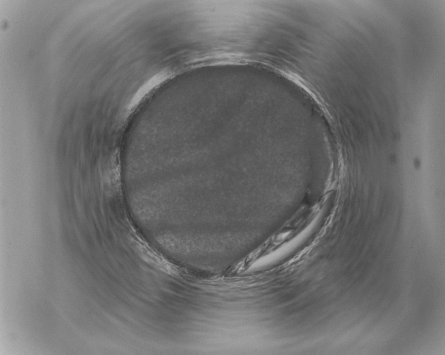 X0000071851450200607290120