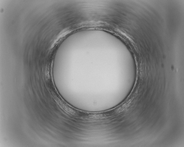 X0000071851451200607290120