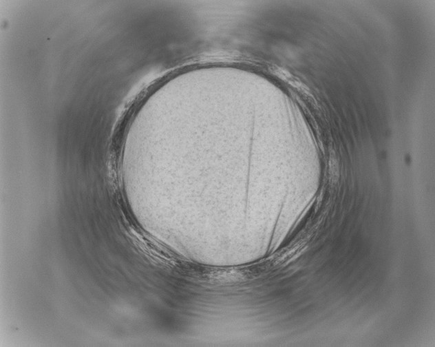 X0000071851454200607290120