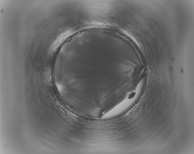 X0000071851455200607290120