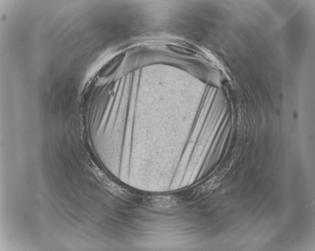 X0000071851456200607290120