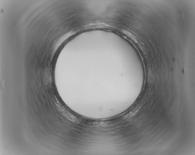 X0000071851458200607290120