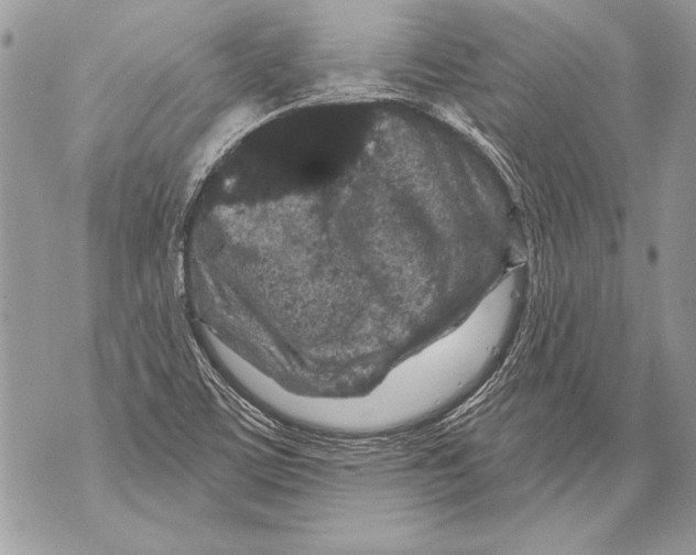 X0000071851459200607290120