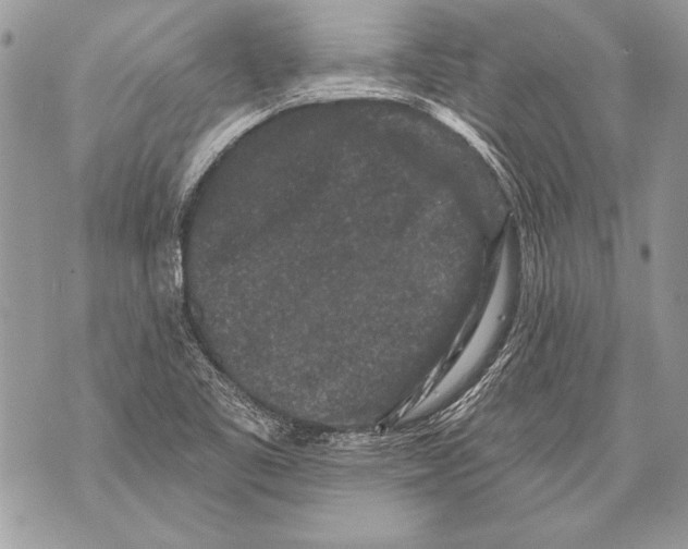 X0000071851461200607290120