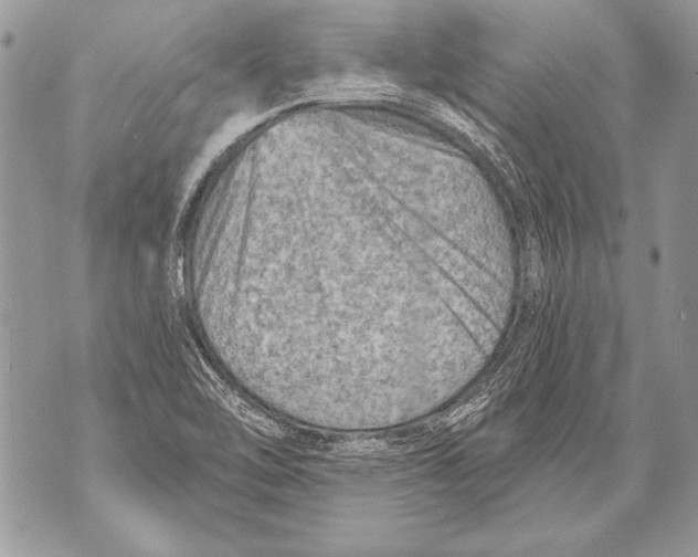 X0000071851462200607290120