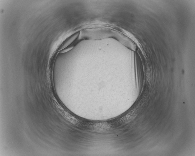 X0000071851464200607290120