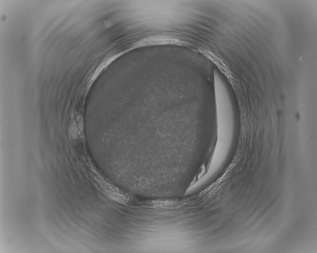 X0000071851465200607290120