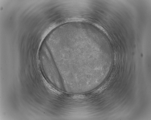 X0000071851466200607290120