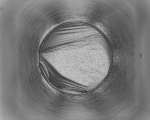 X0000071851468200607290120