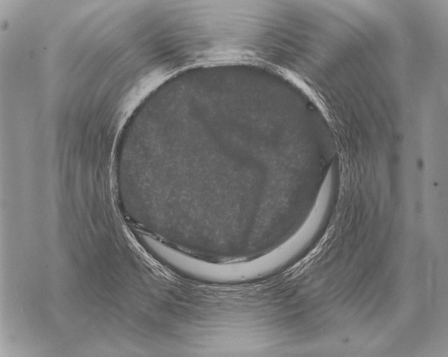 X0000071851469200607290120