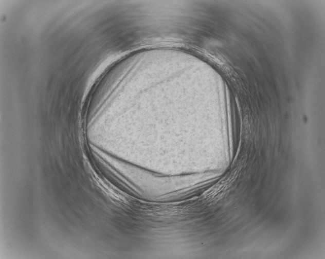 X0000071851470200607290120