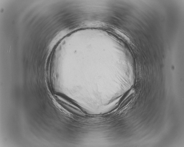 X0000071851471200607290120