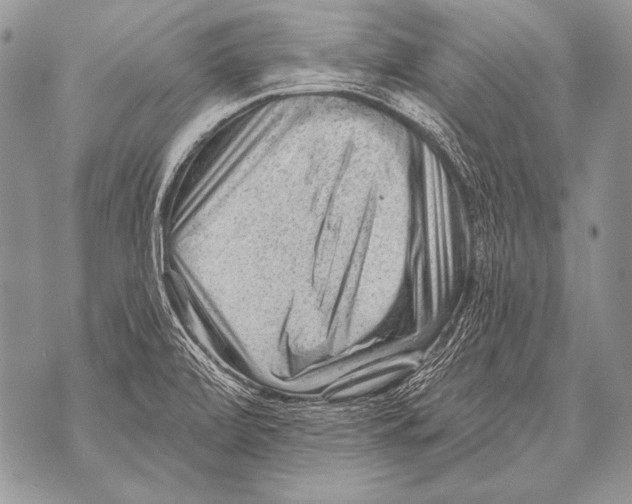 X0000071851472200607290120