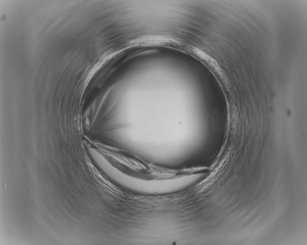 X0000071851473200607290120